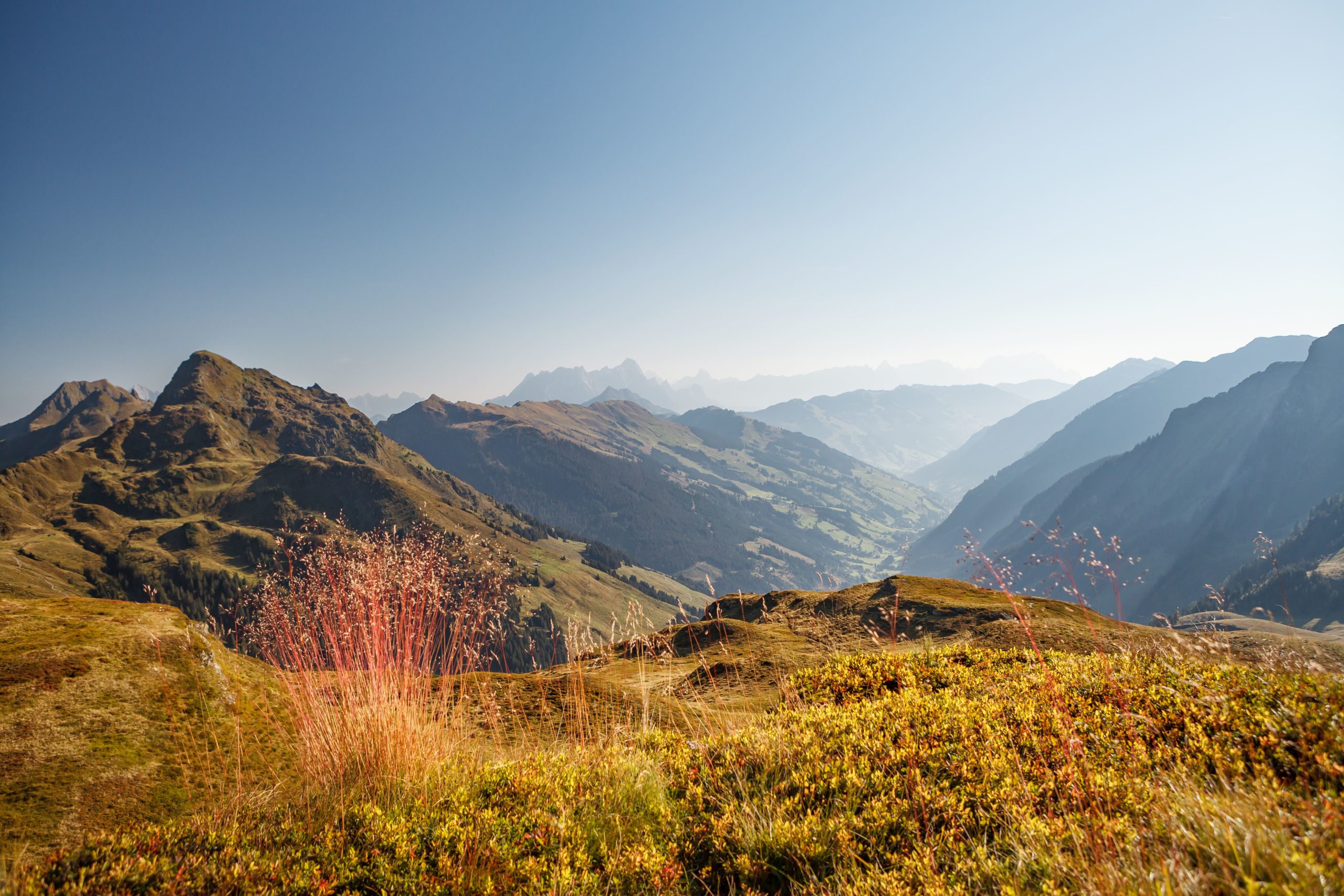 Sommerlandschaft